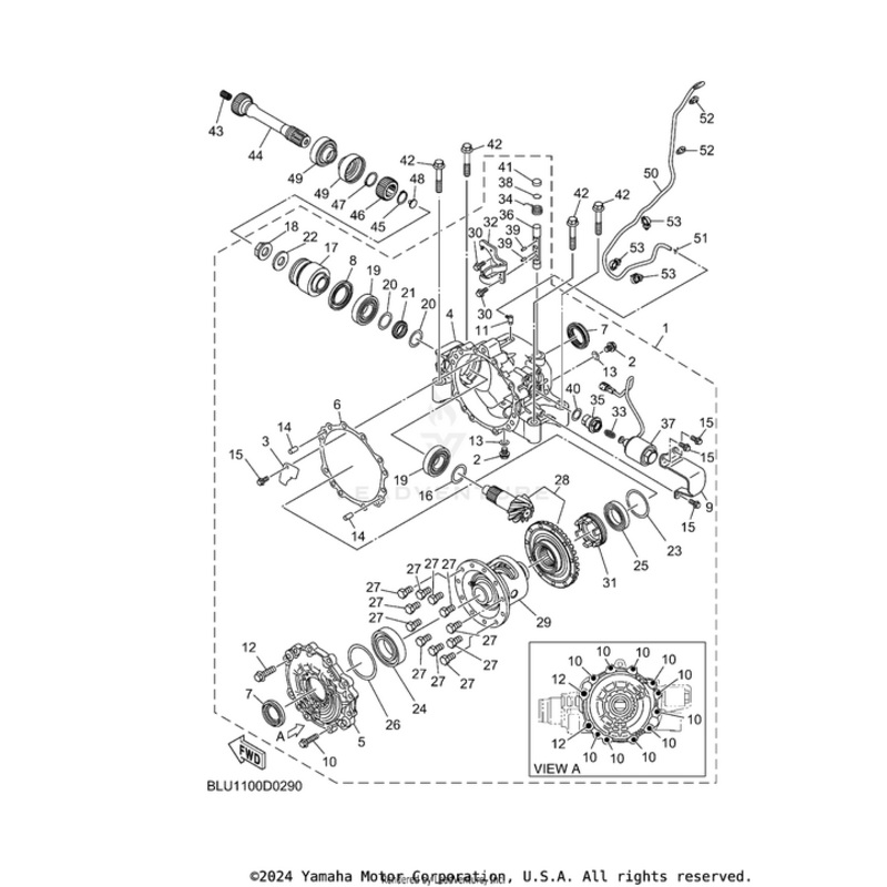 Oil Seal by Yamaha