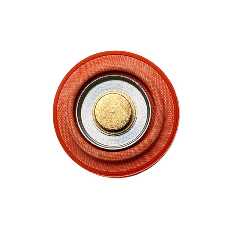 Radium Engineering Diaphragm Service Replacement FPR
