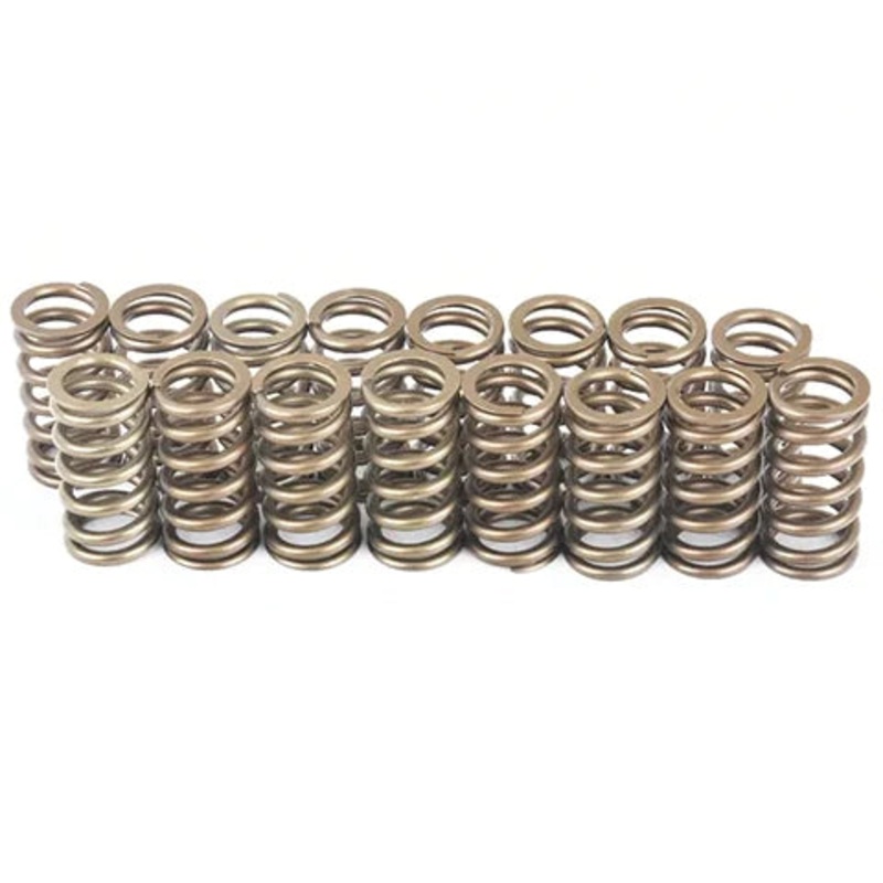 Ferrea Dual Spring Kit | Multiple BMW Fitments (KT4041)