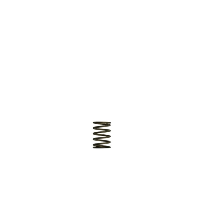 Turbosmart WG38/40 Gen-V 3psi Inner spring – Black