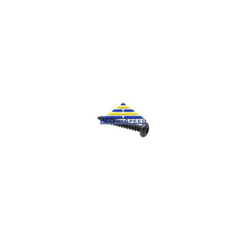 Torx Screw OEM SAAB
