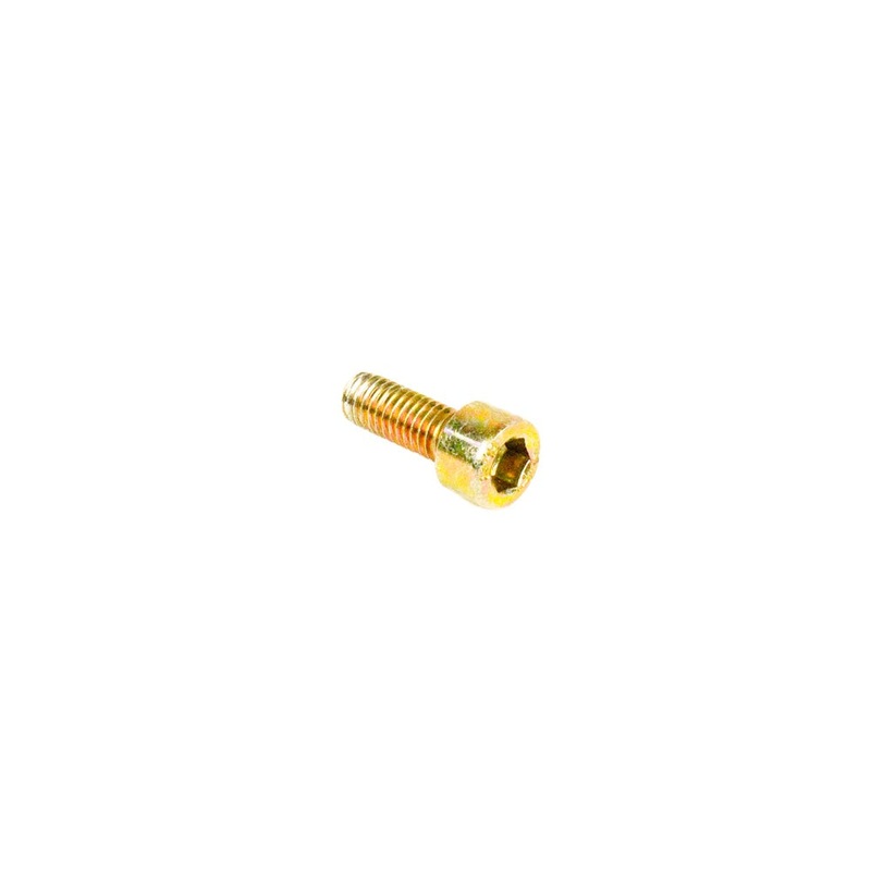 10. 241236 Rotax M6x16 Allen Screw