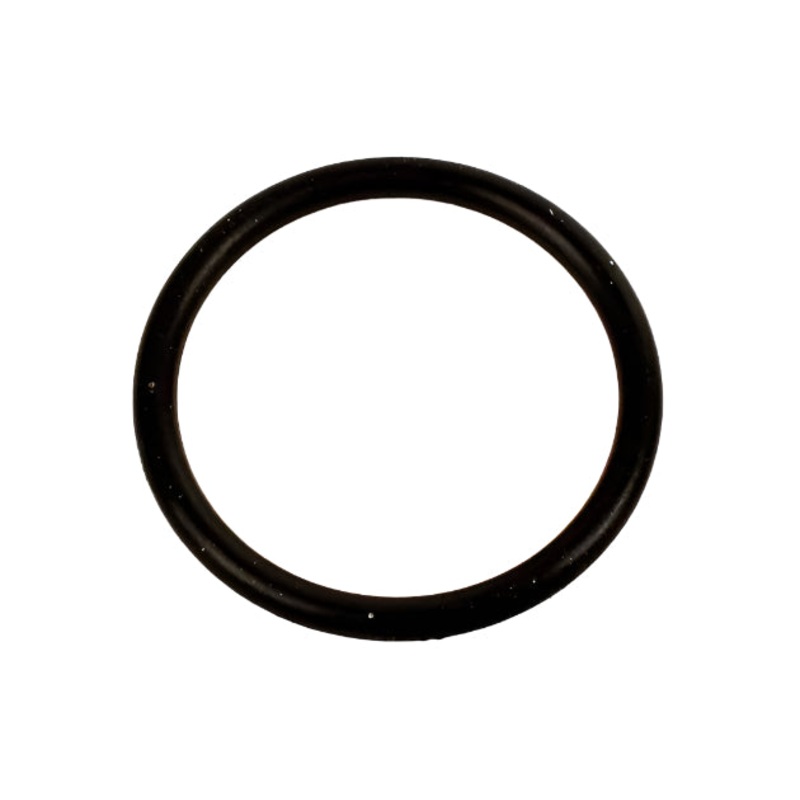 1218. 555601 Briggs Animal, LO206 Carb O-Ring