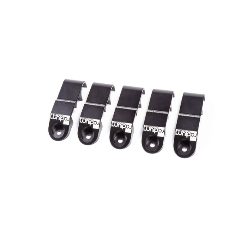 Radium Engineering Fuel Line Retaining Kit | 2009-2021 Nissan GTR (20-0560)