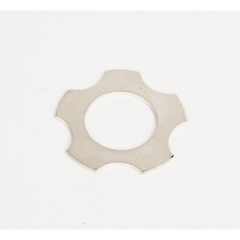 (39) IA-E-38436 Bronze Washer 07 Leopard
